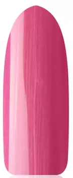 IRISK PROFESSIONAL 224 гель-лак для ногтей, рыбы / Zodiak 10 г