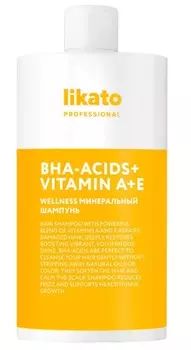 LIKATO PROFESSIONAL Шампунь минеральный для мягкого очищения жирной кожи головы / WELLNESS 750 мл