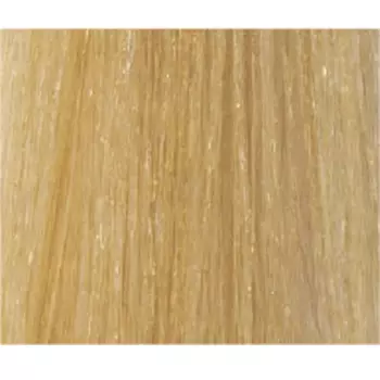 LISAP MILANO 10/3 краска для волос, очень светлый блондин золотистый плюс / LK OIL PROTECTION COMPLEX 100 мл