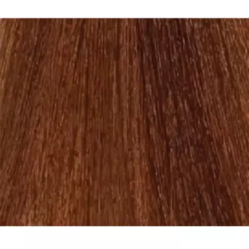 LISAP MILANO 6/76 краска для волос, темный блондин бежево-медный / LK OIL PROTECTION COMPLEX 100 мл