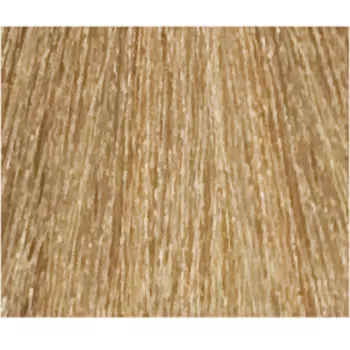 LISAP MILANO 9/2 краска для волос, очень светлый блондин пепельный / LK OIL PROTECTION COMPLEX 100 мл