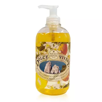 NESTI DANTE Мыло жидкое Капри / Capri 500 мл