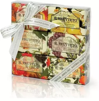 NESTI DANTE Набор мыла для тела Фруктовая коллекция 6*150 г