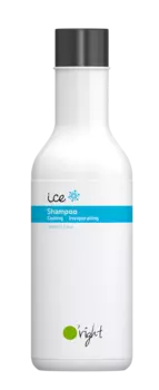 O'RIGHT Шампунь мужской для волос Лед / Ice Shampoo 100 мл