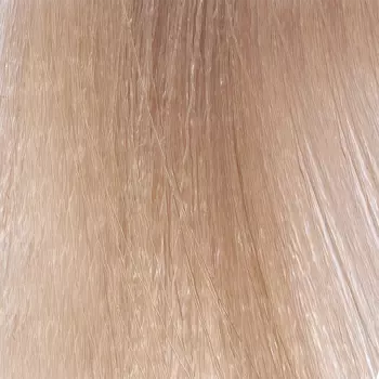 PAUL RIVERA 10.31 крем-краска стойкая для волос, очень светлый блолнд платиновый золотисто-пепельный / Optica Hair Color Cream Very Light Ash Golden Platinum Blon