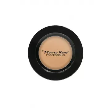 PIERRE RENE PROFESSIONAL Тени для глаз, 003 / Eye Shadow Never Ending 20 г