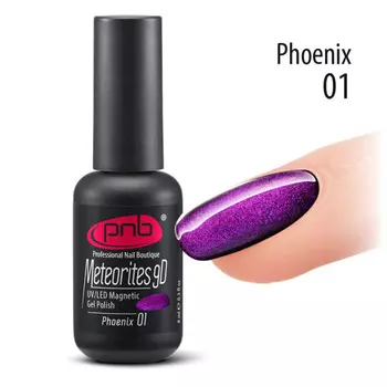 PNB 01 гель-лак для ногтей магнитный метеориты / Magnetic Gel Polish Meteorites 9D PNB UV/LED 8 мл