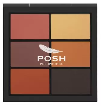 POSH Палетка теней для макияжа, профессиональная 01 (6 оттенков) / Artist Make Up Palette 60 г