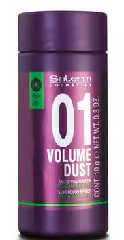 SALERM COSMETICS Пудра объем матирующая для волос / Volume Dust 10 гр