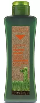 SALERM COSMETICS Шампунь для окрашенных и поврежденных волос / BIOKERA 300 мл