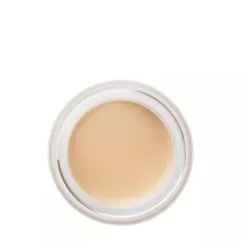 SHU Корректор высокопигментированный для лица, №31 бежевый / SPYWEAR 2,8 гр