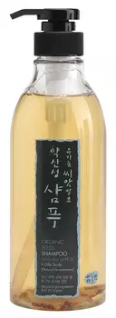 WHAMISA Шампунь на основе ферментов семян растений для жирной кожи головы 500 мл