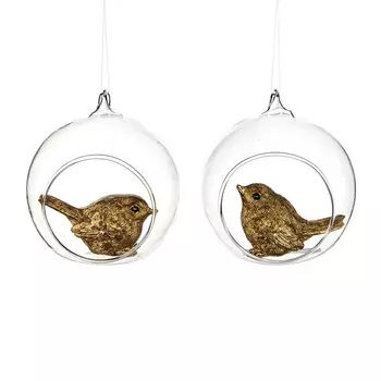 Bird Ball Набор из 2 новогодних украшений