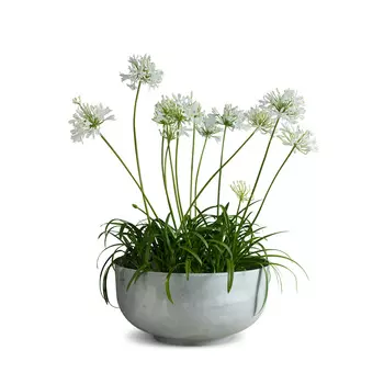 Castle S Raw Кашпо для цветов