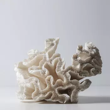 Coral White Арт-объект
