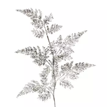 Fern Brunch Набор из 6 декоративных украшений