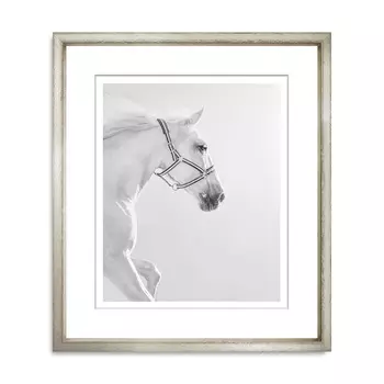 Graceful Steed Постер