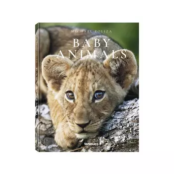 Книга Baby Animals