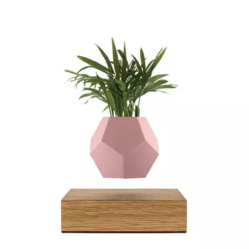 Lyfe Rose Кашпо левитирующее