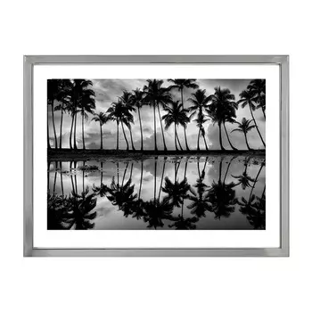 Palm Reflection Постер