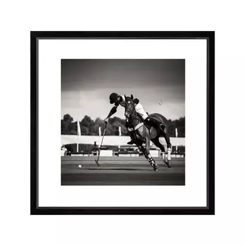 Polo I Studio Постер