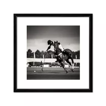 Polo I Studio Постер