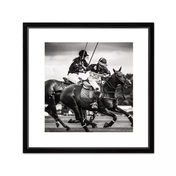 Polo II Studio Постер