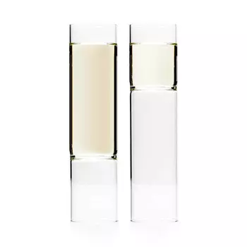 Revolution Бокалы для шампанского 2 шт.