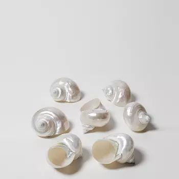 Seashells Nacre Арт-объект