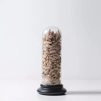 Shells Deco Small Арт-объект