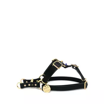 Spike Rocky Noir Шлейка для собак S