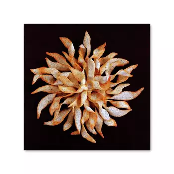 Tea And Honey Cookies Постер 101,6 x 101,6 см