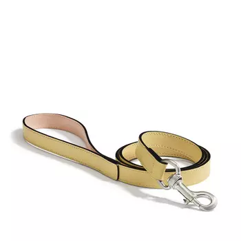 Torino Lemon Поводок для собак