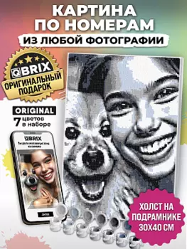 Картина по номерам из любой фотографии Qbrix Original (30x40 см.)