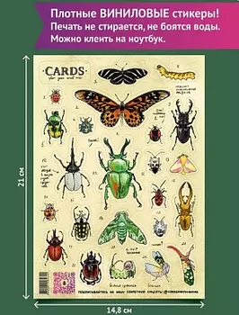 Стикерпак Жуки