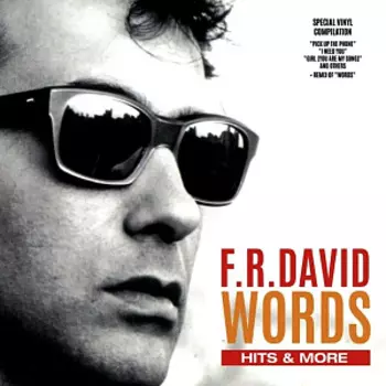 Виниловая пластинка F.R. David. Words – Hits & More (LP)