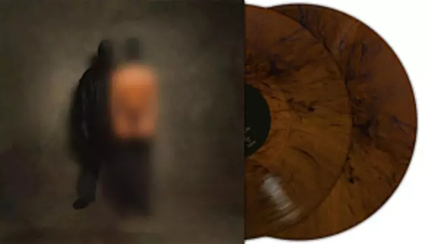 Виниловая пластинка $ (Kanye West & Ty Dolla $ign) – Vultures 1 (Brown Marble) (2 LP)