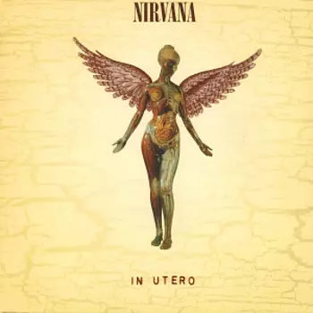 Виниловая пластинка Nirvana – In Utero (LP)