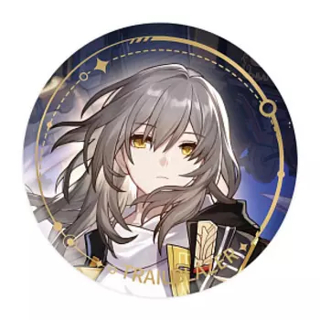Значок Honkai: Star Rail – Destruction Trailblazer Female