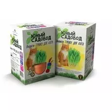 Юный садовод. Вырасти травку для кота