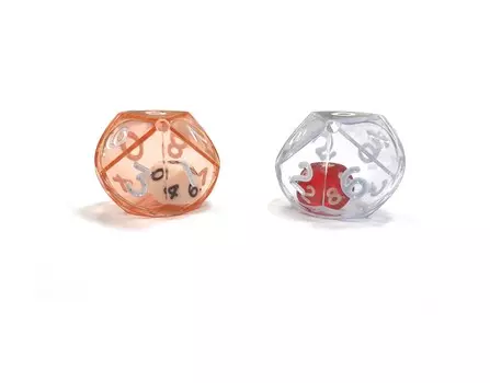 Кубик "Идеальный процентник", 25 мм, 5 цветов