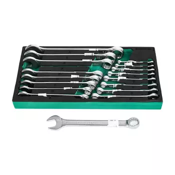 GARWIN PRO 646070 Набор ключей комбинированных 17 пр. 6-24 мм в ложементе EVA