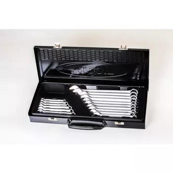 Licota AWT-ERSK06 Набор ключей комбинированных 16 предметов 6-24 мм в металлическом ящике