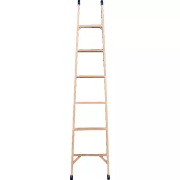 ЛУЧ ЛСП-5.1-Ф55П Лестница стеклопластиковая приставная ЛСП-5.1-Ф55П