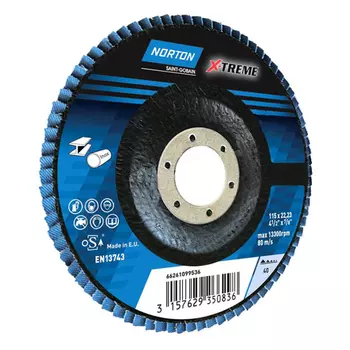 NORTON 66261099035 Круг лепестковый XTREM 125х22 R828 P120