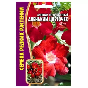 Адениум Аленький цветочек Редкие семена