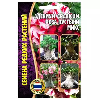 Адениум arabicum Роза пустыни, смесь окрасок Редкие семена