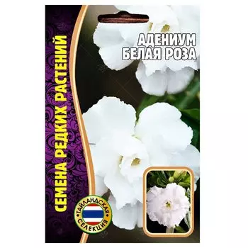 Адениум Белая роза Редкие семена