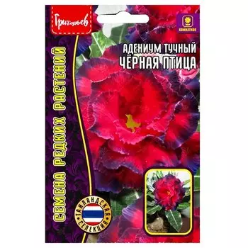 Адениум Черная птица Редкие семена