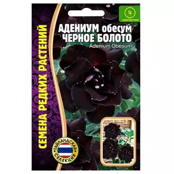 Адениум Черное болото Редкие семена